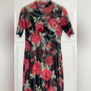 POTTERS POT SHEER ROSES FLORAL DRESS